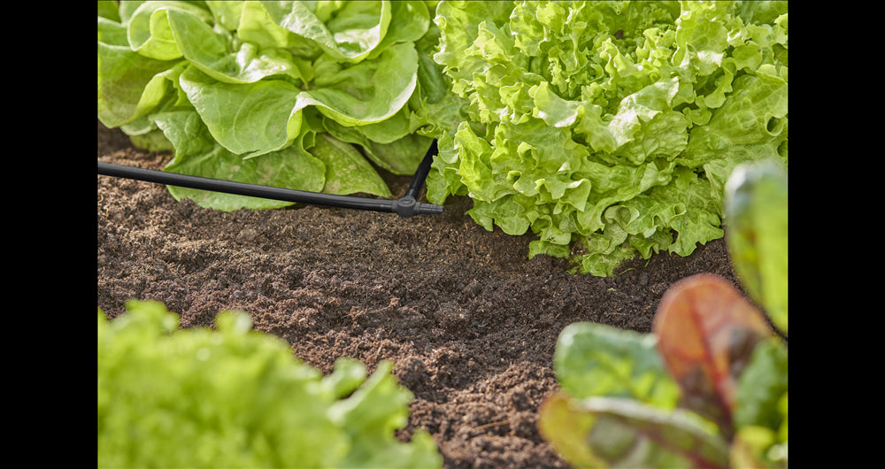 Junta en T 4.6mm 20u Gardena 13211-26 - 6