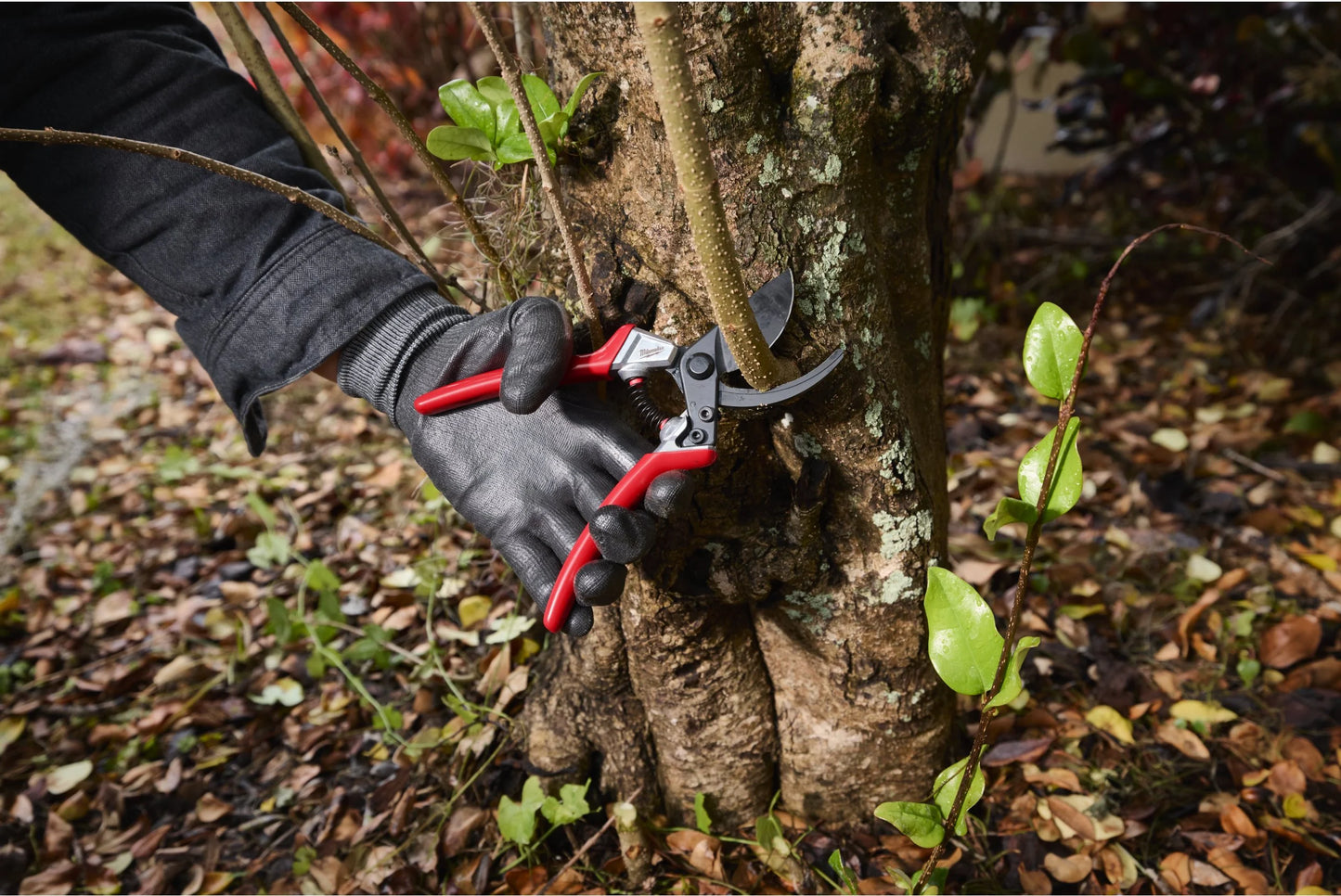 Milwaukee 25mm Bypass Pruning Shears